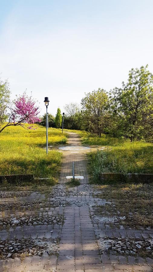 Casarava Sul Parco 3 Camere 2 Bagni ริชโชเน ภายนอก รูปภาพ